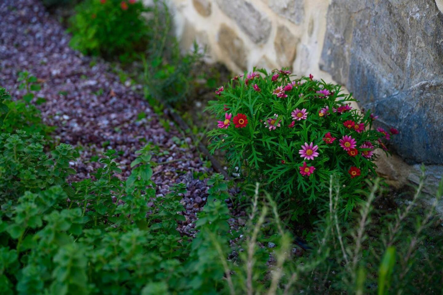Physis Country House Near Matala Beach & Faistos Kouses 外观 照片
